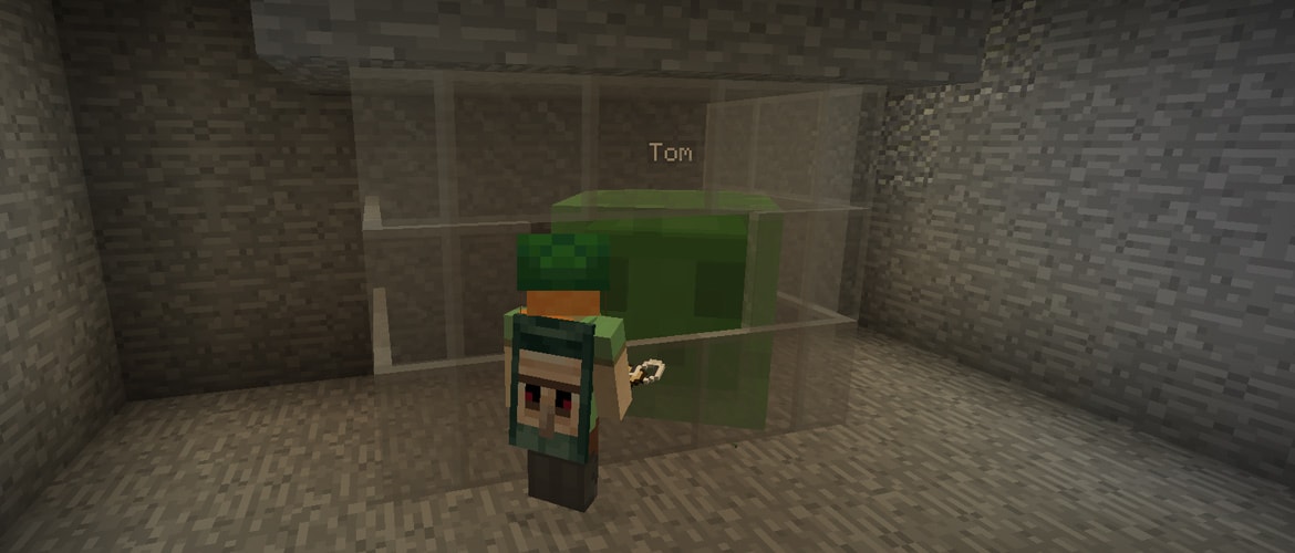Etiqueta de nome mostrada em uma cena do Minecraft